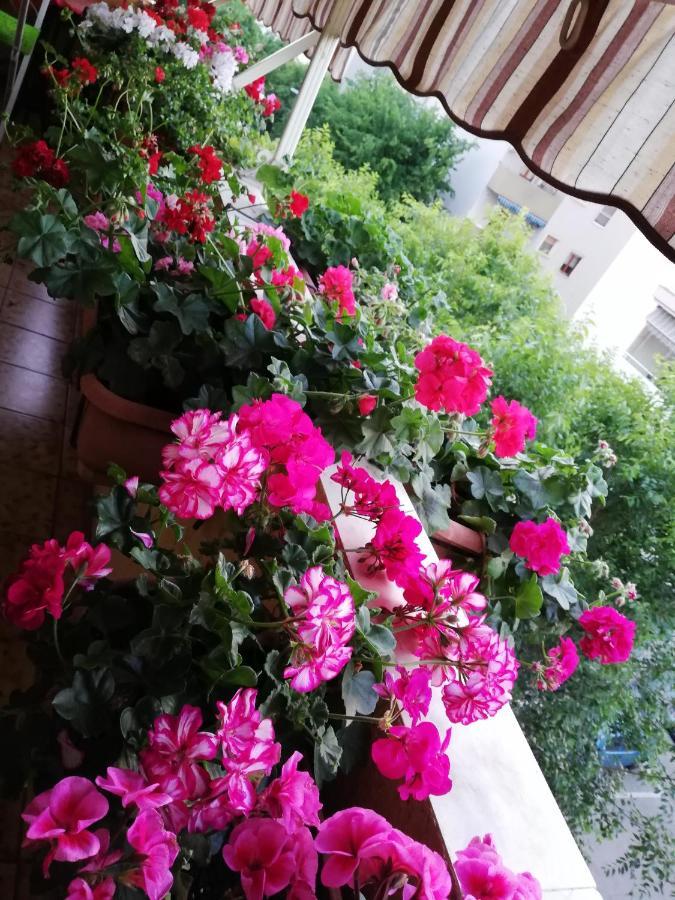 B&B Casa Mia Альгеро Екстер'єр фото