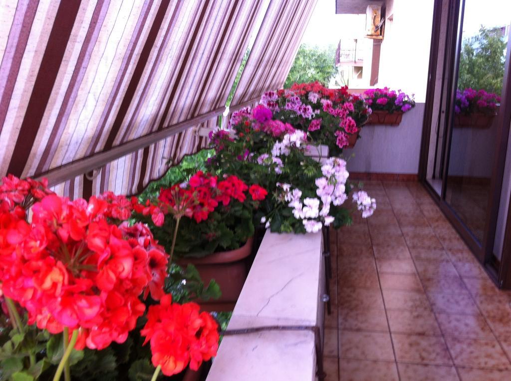 B&B Casa Mia Альгеро Екстер'єр фото
