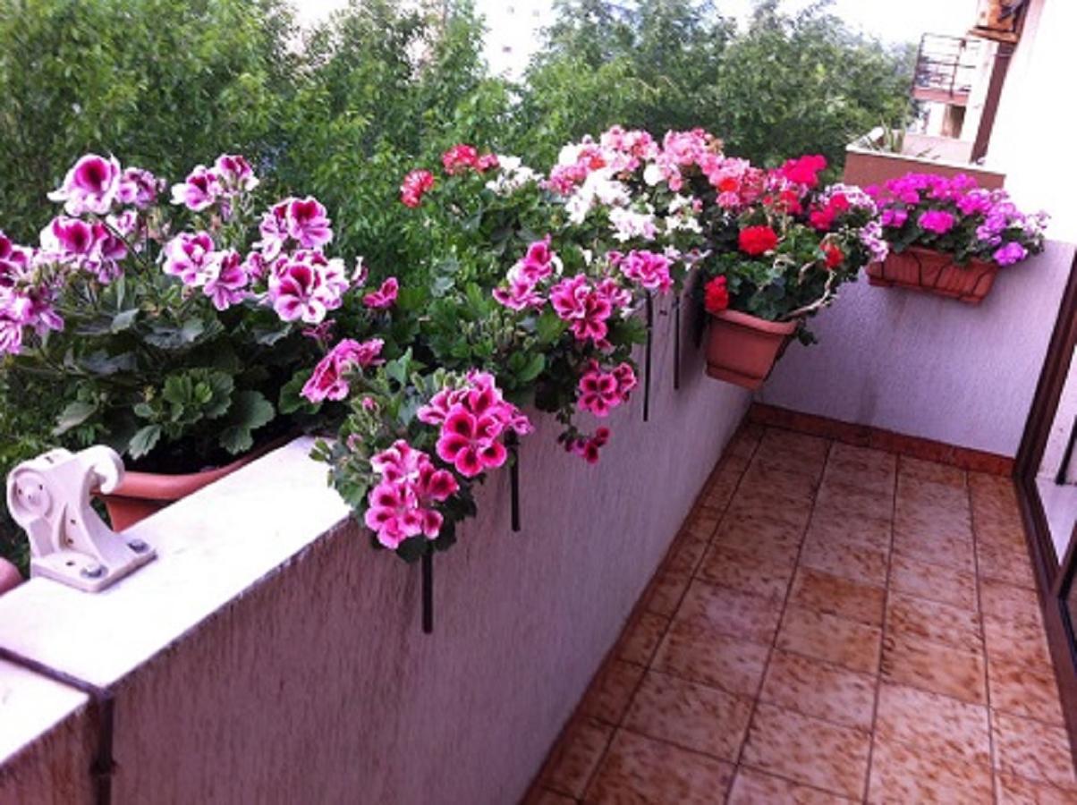 B&B Casa Mia Альгеро Екстер'єр фото